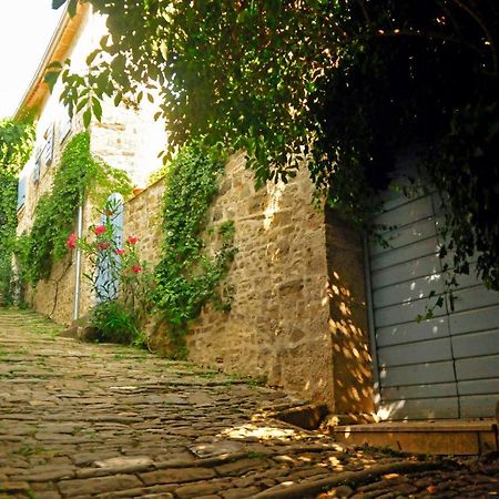 Ruine-Motovun Dh Villa Luaran gambar