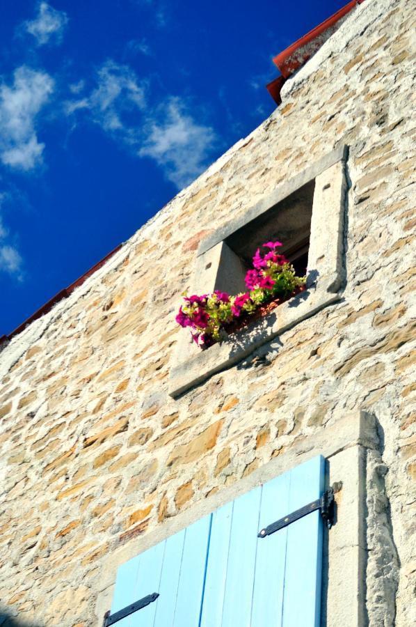 Ruine-Motovun Dh Villa Luaran gambar