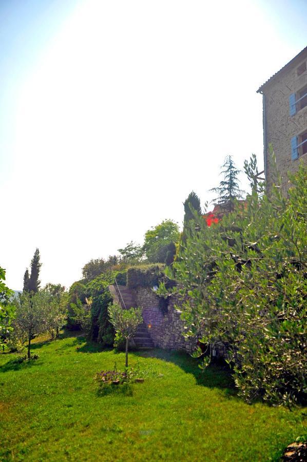Ruine-Motovun Dh Villa Luaran gambar
