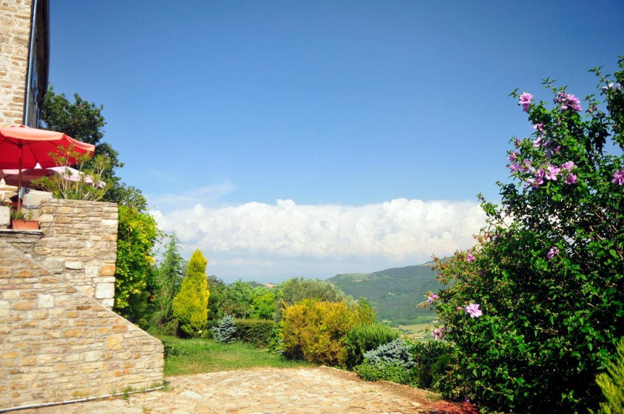 Ruine-Motovun Dh Villa Luaran gambar