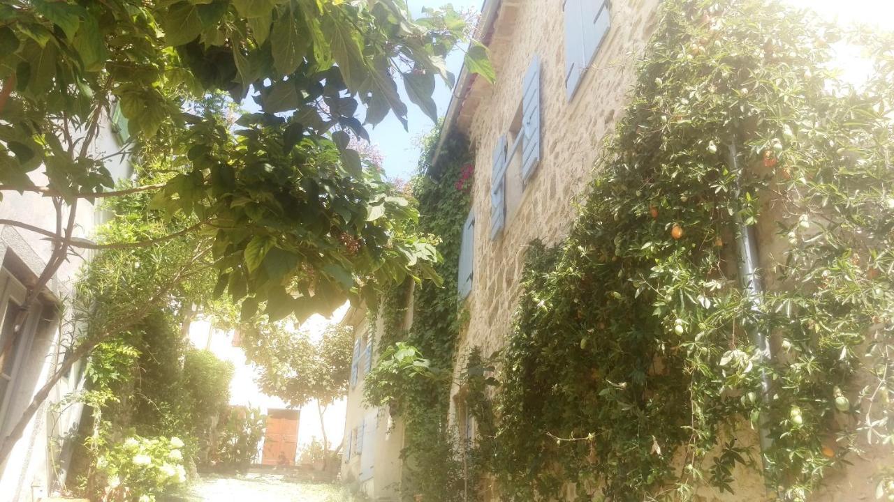 Ruine-Motovun Dh Villa Luaran gambar